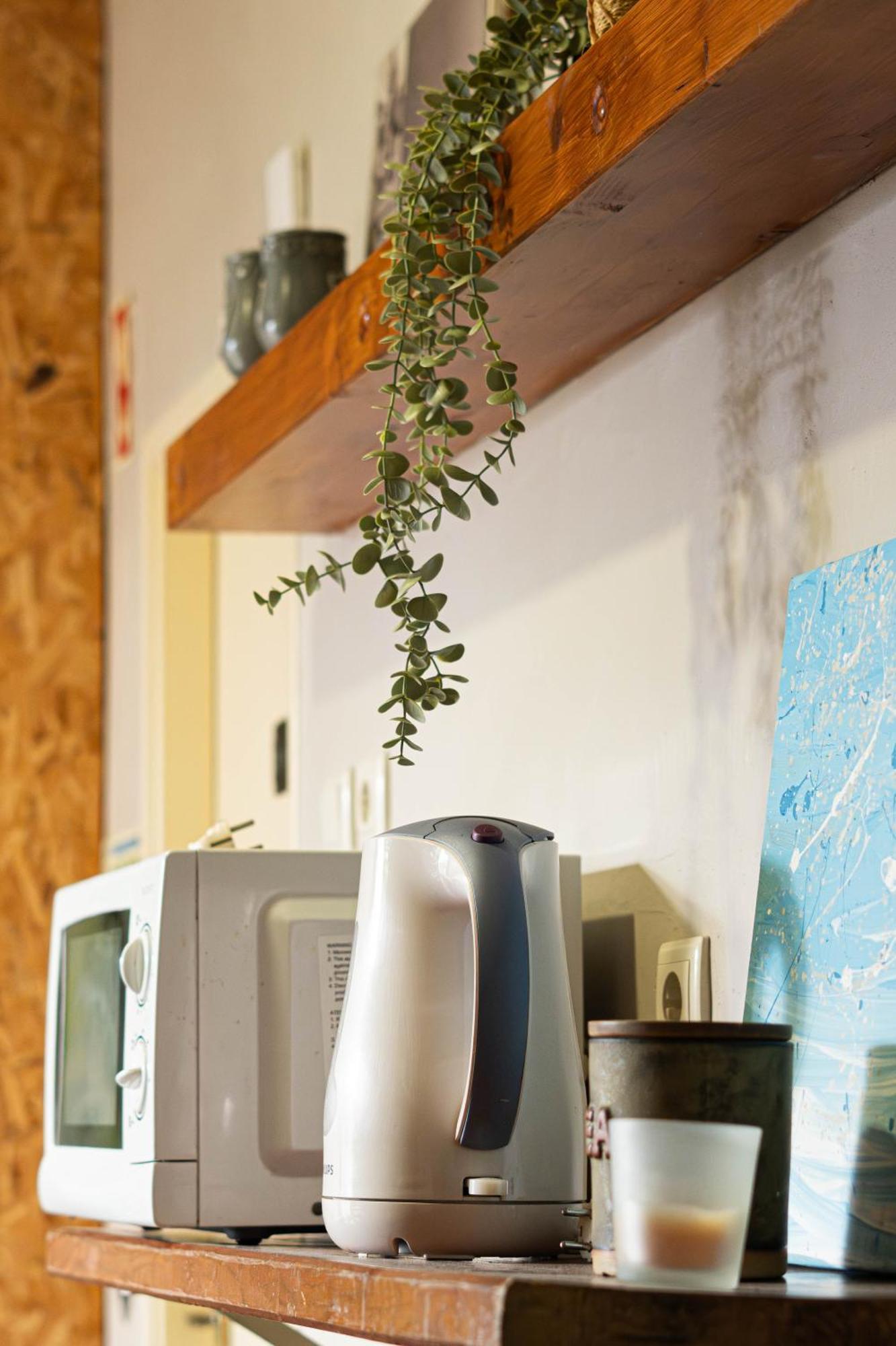 Eco Hostel - Tribo Da Praia Ferrel  Eksteriør billede