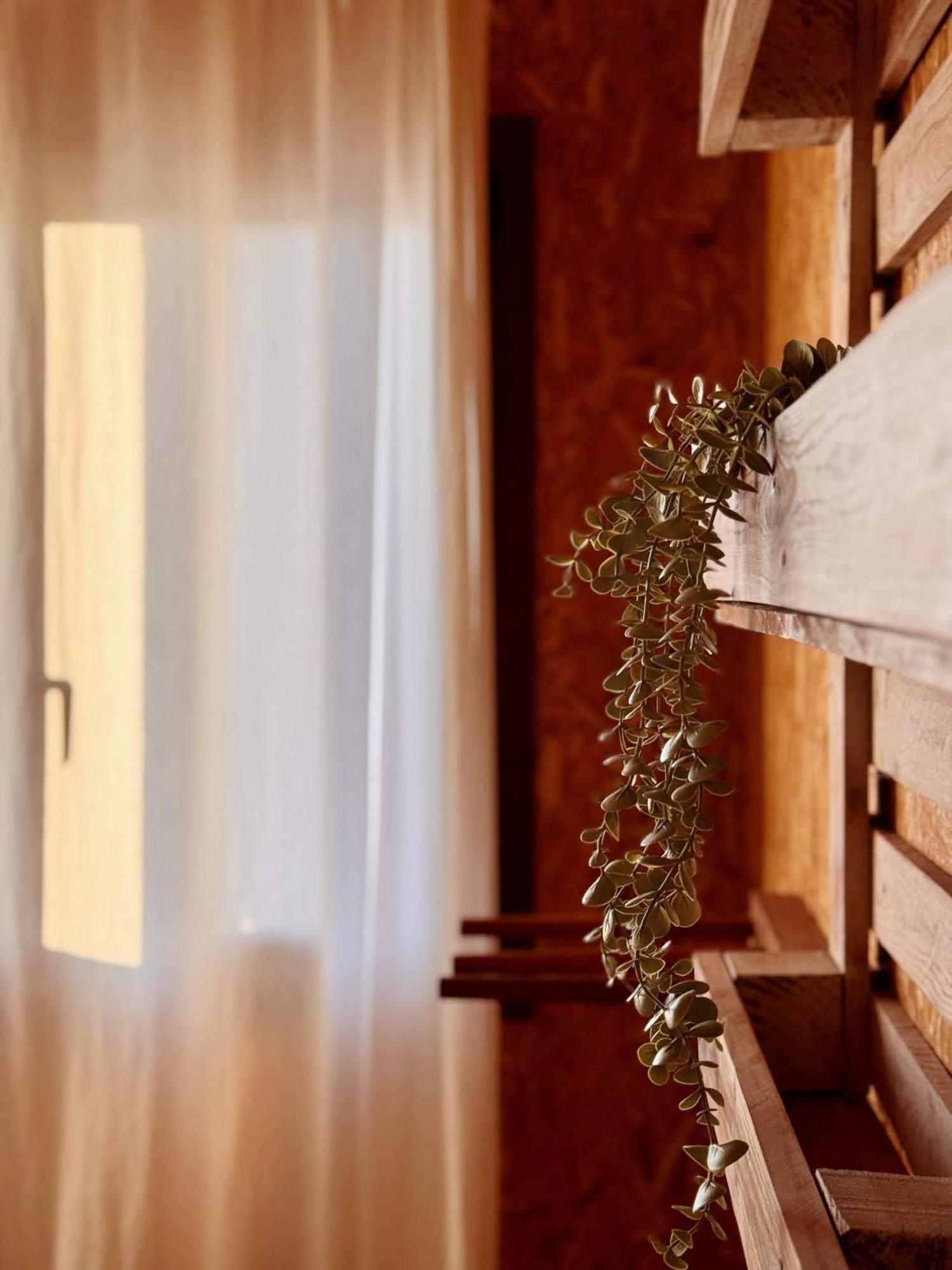 Eco Hostel - Tribo Da Praia Ferrel  Eksteriør billede